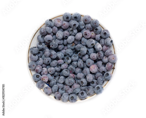 Obraz Frozen bog bilberry.