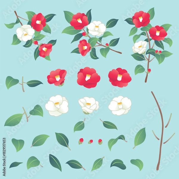 Obraz 赤と白の椿の花　パーツのイラスト素材