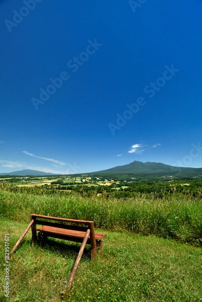 Obraz ほしかぜの丘