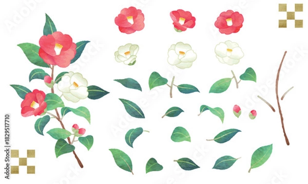 Obraz 手描き水彩風　赤と白の椿　パーツのイラスト素材