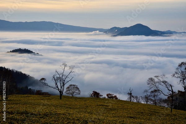 Obraz 屈斜路湖の雲海