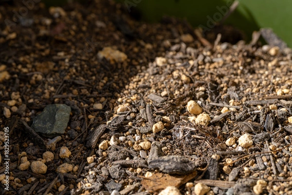 Obraz ガーデニング用の培養土と腐葉土のクローズアップ
