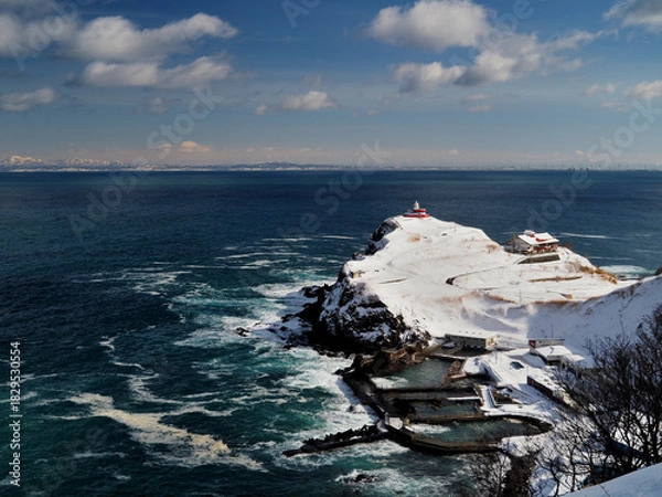 Obraz 高島岬の群来