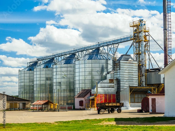 Obraz Agricultural Silo, Grain Purifying And Drying Up Complex In Summer