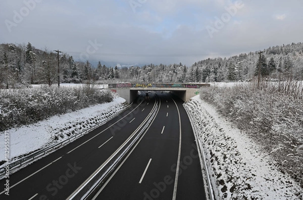 Fototapeta Wildbrücke