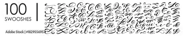 Obraz Vector set of calligraphy swoosh elements for lettering and ornamental flourish isolated on the white background.