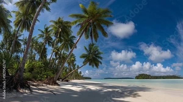 Obraz Palm Trees on a Beach