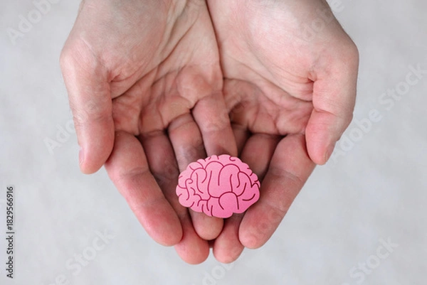 Fototapeta Hands hold model of brain close-up. Healthcare concept