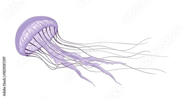 Fototapeta Purple jellyfish illustration isolated on white background vector design for marine life concepts