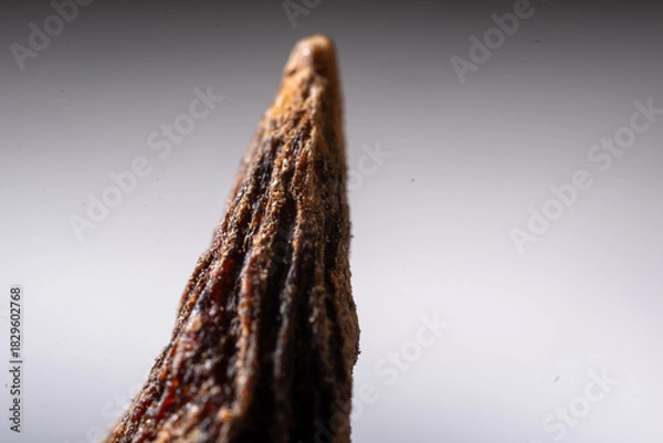 Fototapeta An extreme close-up macro photograph of a dried, deep reddish-brown Star Anise fruit, emphasizing the radially symmetrical structure formed by its woody, boat-shaped fo