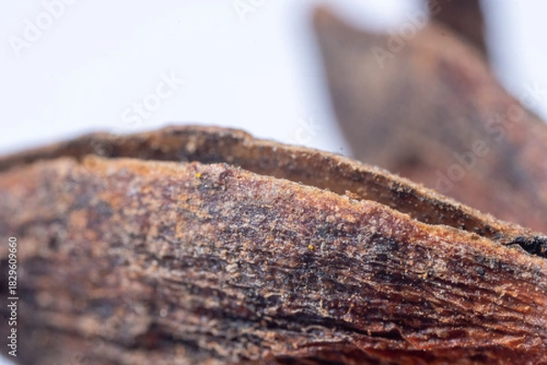 Fototapeta An extreme close-up macro photograph of a dried, deep reddish-brown Star Anise fruit, emphasizing the radially symmetrical structure formed by its woody, boat-shaped fo