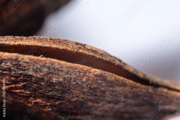 Fototapeta An extreme close-up macro photograph of a dried, deep reddish-brown Star Anise fruit, emphasizing the radially symmetrical structure formed by its woody, boat-shaped fo
