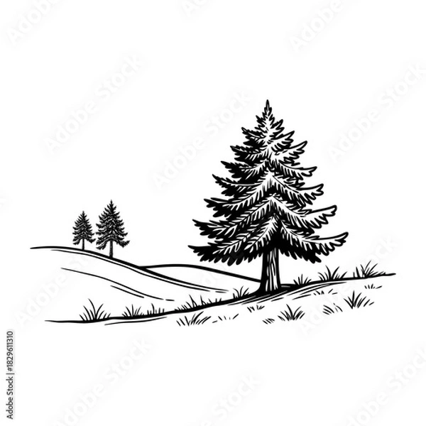 Fototapeta nature tree, vector, icon, tree icon