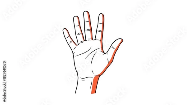 Obraz Simple line art illustration of a human hand with the thumb and right side highlighted in orange on a white background.