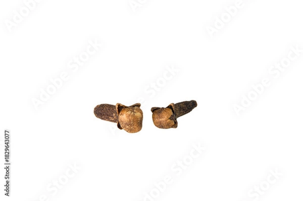 Fototapeta Two whole dried clove spice buds isolated on white background