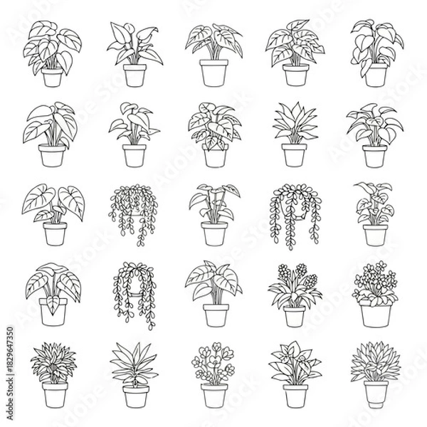 Obraz Collection of various potted plants in a minimalist black and white line art style
