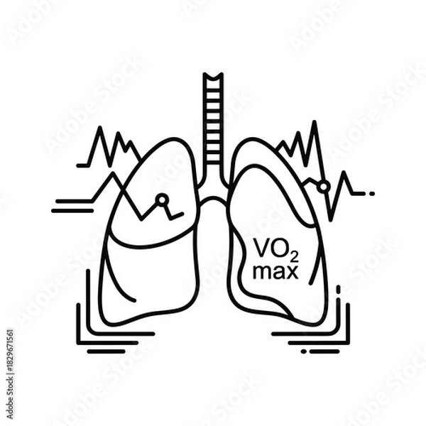 Fototapeta Human lungs and vo2 max measurement line icon. respiratory system and oxygen consumption capacity outline.