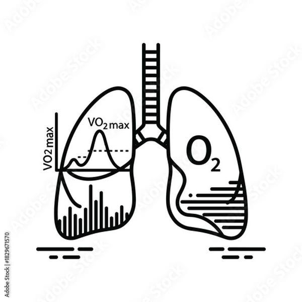 Fototapeta Detailed human lung diagram with vo2 max graph and o2 symbol representing respiratory fitness and oxygenation.