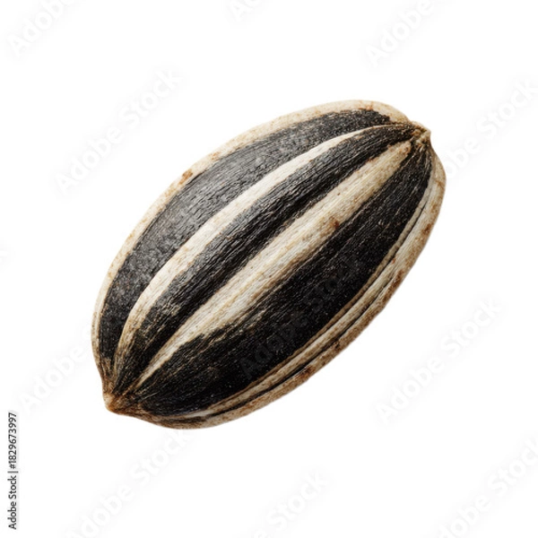 Obraz A seed is shown on a white background