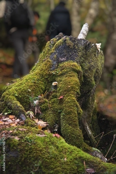Obraz 氷ノ山　登山の風景
