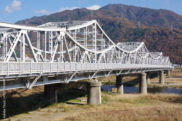 Obraz 鉄の骨組みの橋