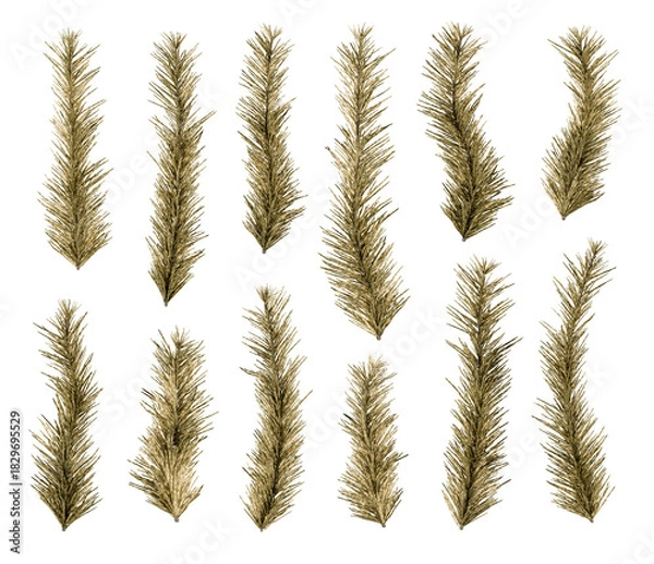Obraz Golden Christmas Pine Branches Set – Metallic Holiday Xmas Evergreen Decorations Pack – Isolated Luxury Spruce Elements for Winter Designs and Festive DIY Compositions