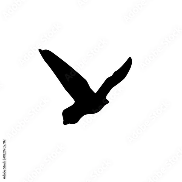 Obraz Seagull silhouette