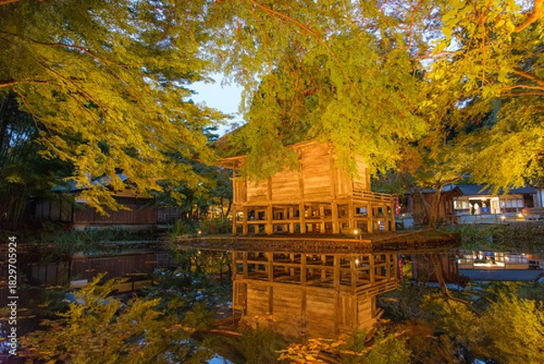 Fototapeta 岩手県平泉町 秋の中尊寺、弁財天堂のライトアップ