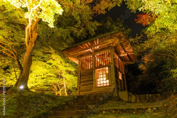 Fototapeta 岩手県平泉町 秋の中尊寺、ライトアップされた旧鐘楼