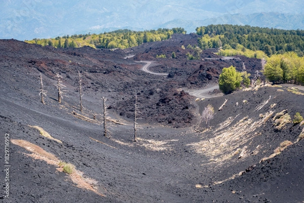 Fototapeta Volcano Etna