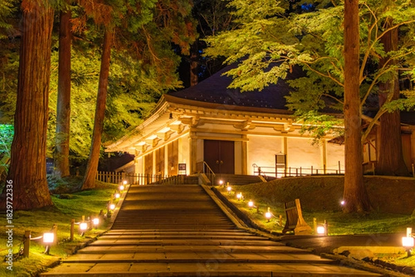 Fototapeta 岩手県平泉町 中尊寺金色堂 秋のライトアップ