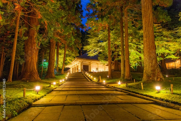 Fototapeta 岩手県平泉町 中尊寺金色堂 秋のライトアップ