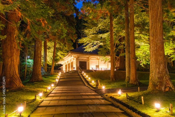 Fototapeta 岩手県平泉町 中尊寺金色堂 秋のライトアップ