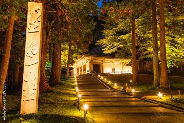 Fototapeta 岩手県平泉町 中尊寺金色堂 秋のライトアップ