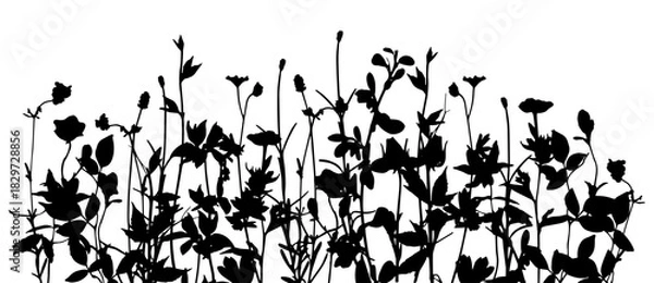 Fototapeta Silhouettes of spring-, summer- glade. Black basis for design on white background universal use