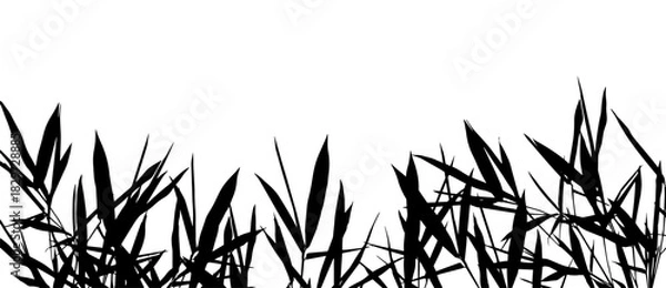 Obraz Summer floral silhouettes. Black basis for design on white background universal