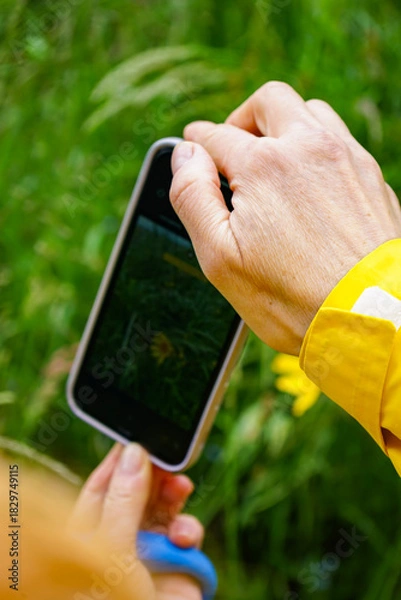 Obraz mobile phone in hand