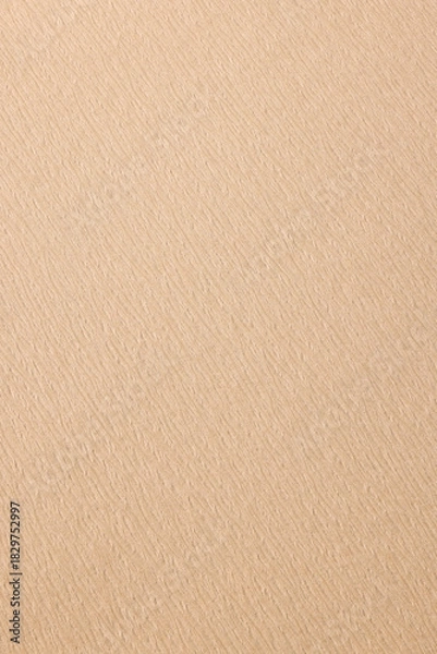 Obraz 上品なベージュの和紙背景素材　Subtle Beige Washi Texture Background