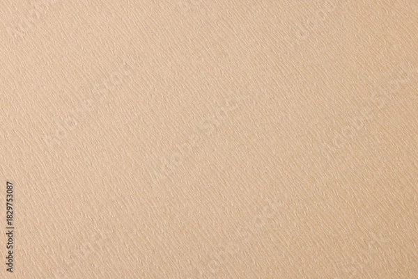 Obraz 上品なベージュの和紙背景素材　Subtle Beige Washi Texture Background