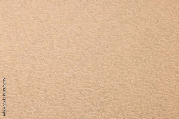 Obraz 上品なベージュの和紙背景素材　Subtle Beige Washi Texture Background