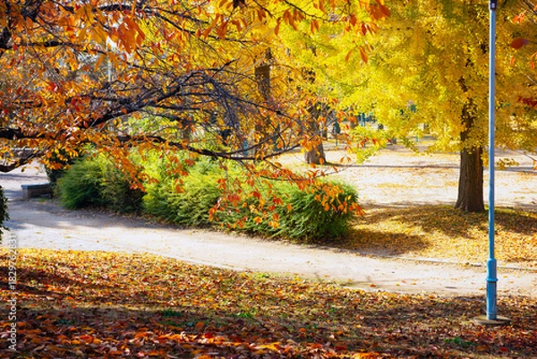 Obraz 秋の太子橋中公園