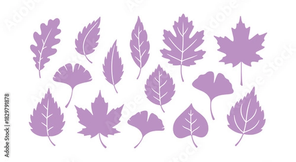 Fototapeta Group of hand-drawn foliage. Doodle design components

