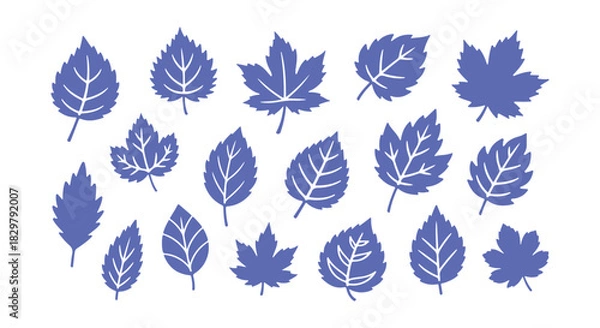Fototapeta Collection of sketchy leaves. Doodle design features

