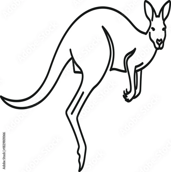 Obraz kangaroo vector illustration