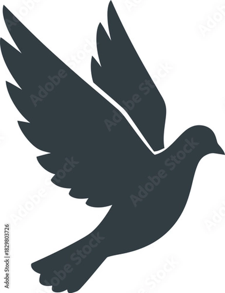 Obraz silhouette of dove