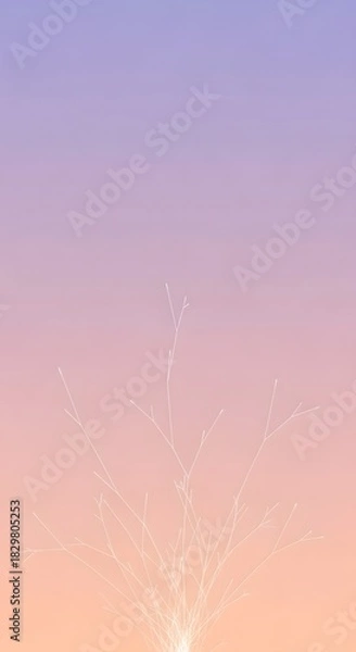 Fototapeta Abstract image featuring delicate, glowing white lines resembling branches against a gradient background of peach, pink, and lavender hues.