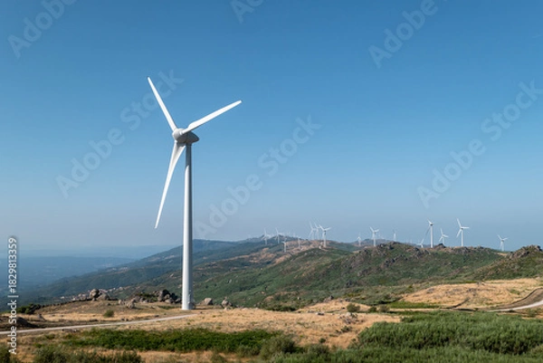 Fototapeta Em harmonia com a natureza, o parque eólico na Serra do Caramulo, um exemplo de sustentabilidade em Portugal