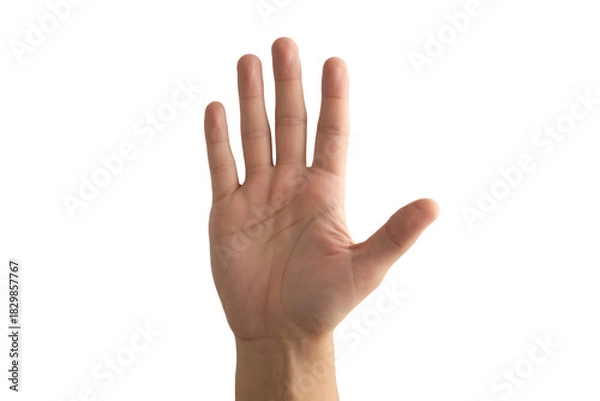Fototapeta Gesture of openness with a hand showing five fingers, communication and connection, perfect for presentations or guidance, diverse and welcoming human touch