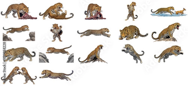 Obraz the art of the prowl a definitive leopard graphic series set, isolated on transparent background