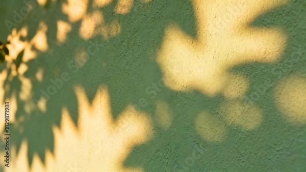 Fototapeta The blurred shadows of leaves on the light green wall evoke a relaxing and dreamy atmosphere.